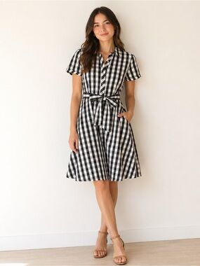 Zolla black and white gingham fit and flare shirt dress